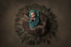 photo newborn baby boy dansun nid theme plume de paon par azemard stephanie photographe Montpellier et Nîmes