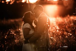 Un couple de mariés s’embrasse tendrement dans un champ doré au coucher du soleil, créant une ambiance romantique et bohème.